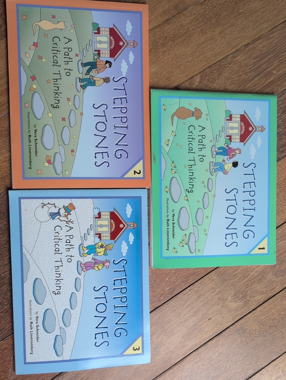 Stepping Stones A Path To Critical Thinking Books 1, 2 & 3 Plus Teacher Guides